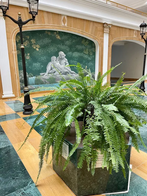 Уютная квартира с шикарным видом