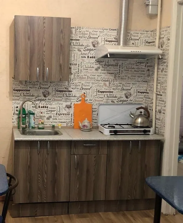 Уютная однокомнатная квартира в центре города