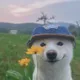 Ильнар