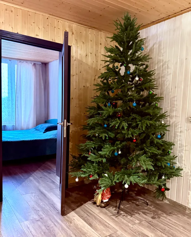 Коттедж Саввушка с видом на монастырь