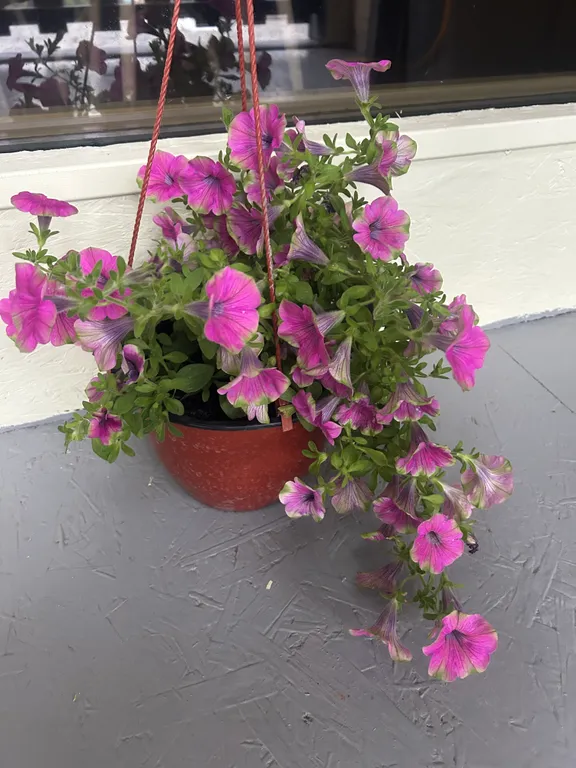 Коттедж с видом на море и горы