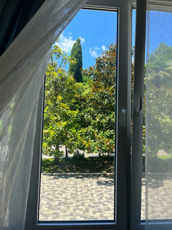 Квартира Квартира Апартамент на первом этаже рядом с морем и дендрарием — Сочи