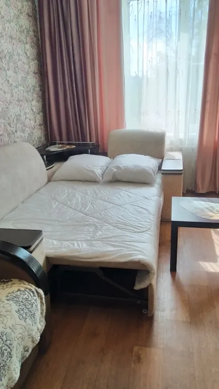 Большая однушечка со спальным местом на кухне рядом с центром