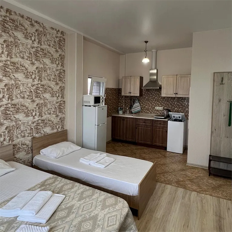 Квартира 1-комнатная Квартира — Сириус