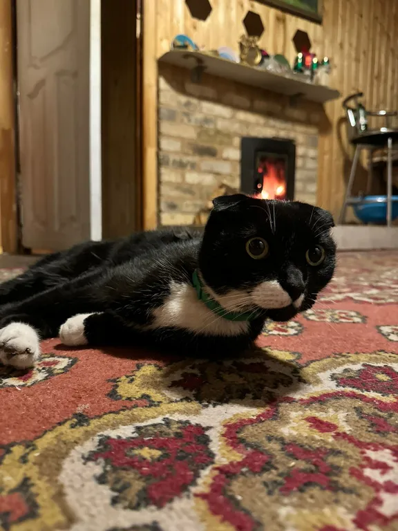 2х эт.дом на 8 марта с парной в Туле.Можно с питомцем.Удобная локация.