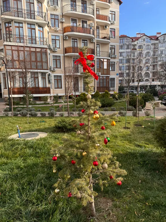 Апартаменты с видом на море