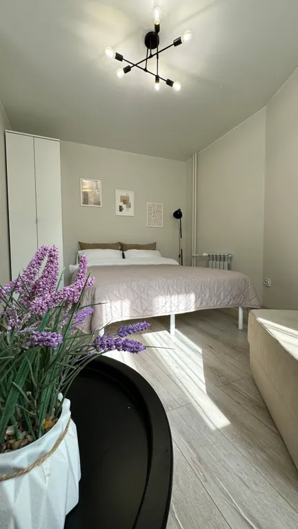 Стильная студия с видом на лес