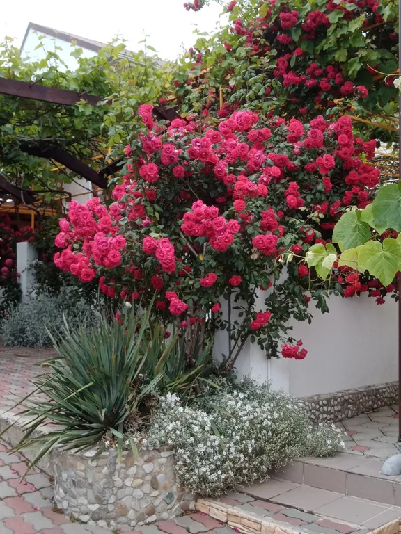 Семейная комната со всеми удобствами