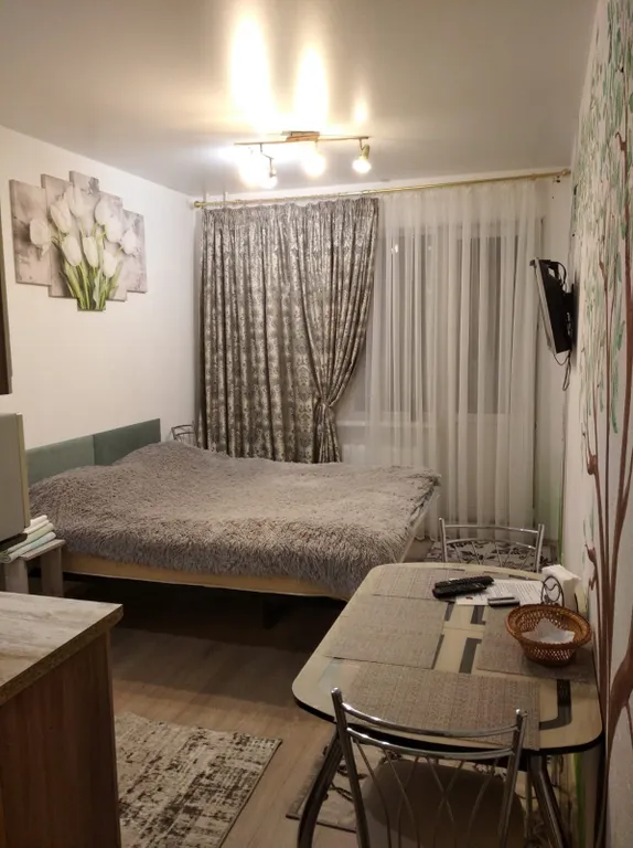 Квартира Квартира Просторная комфортная уютная студия с прекрасным видом на берег Волги — Тверь