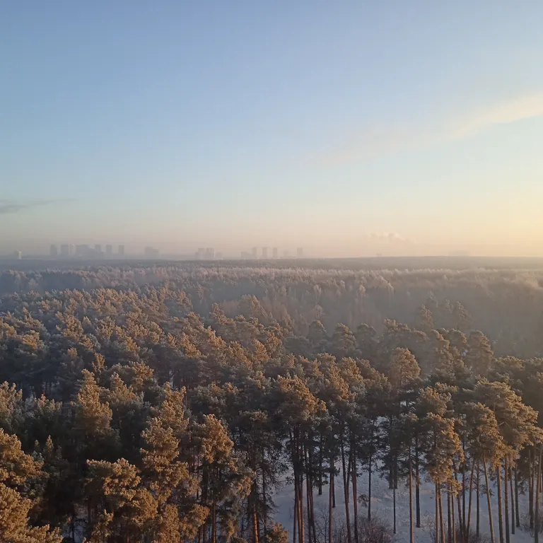 Студия на Парковом с видом на Экопарк