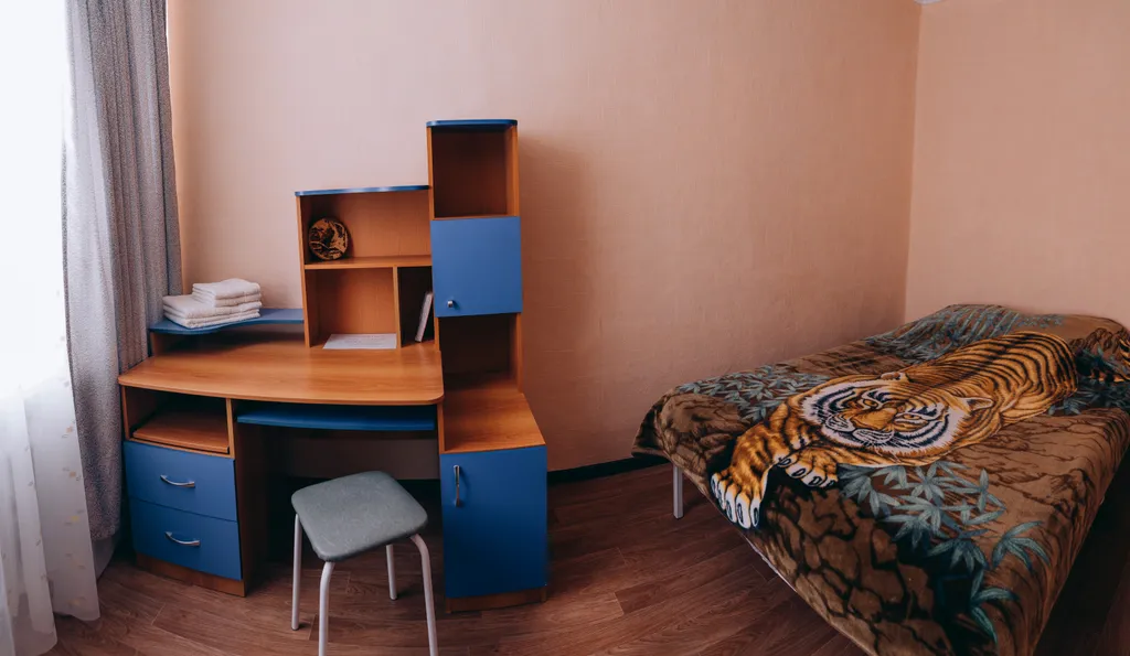 Уютная, квартира - Тигр