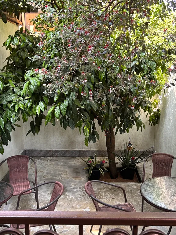 Квартира Квартира Эконом на первой береговой линии — Адлер