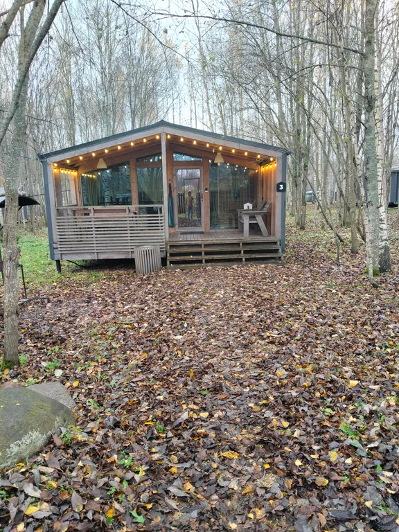 Дом с березами