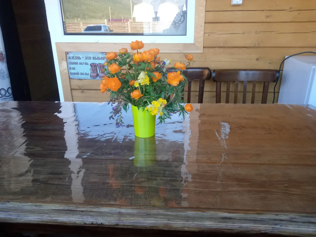 Уютный благоустроенный 3-местный дом с видом на горы