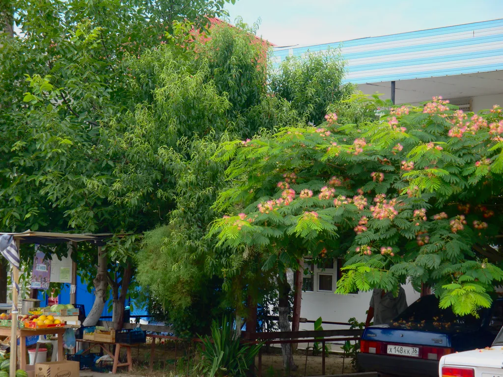 Квартира Комната — Витязево