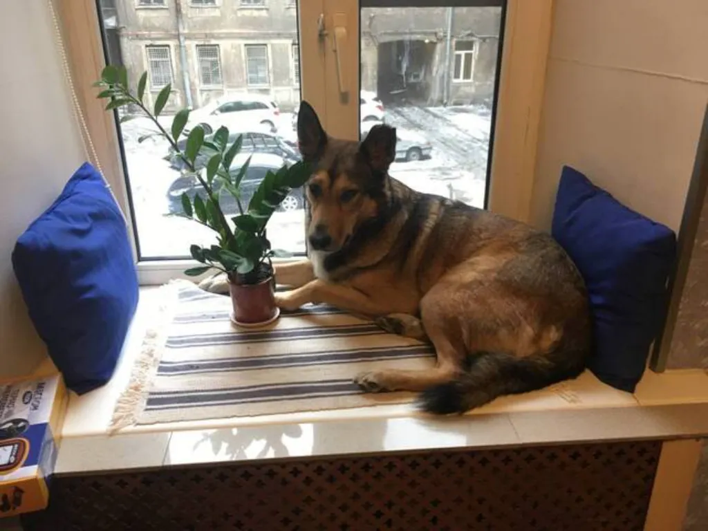 Квартира Современная комната с потрясающим видом на Фонтанку — Санкт-Петербург