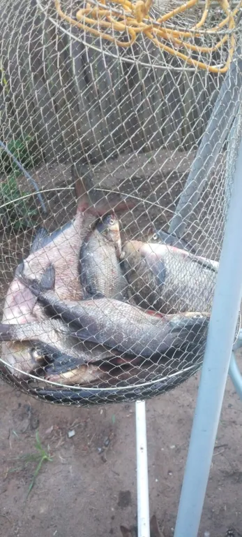 Коттедж Новый дом у озера с бесплатным бильярдом, рядом с турбазой Чайка — Ланино