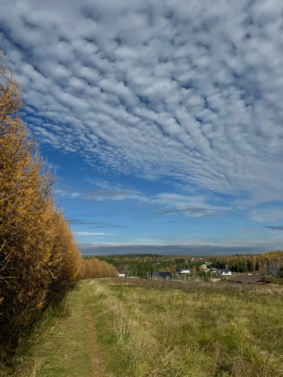 Дом с массажным креслом
