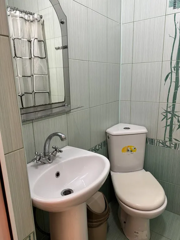 с одной двуспальной или 2 односпальными кроватями и доп спальным мест