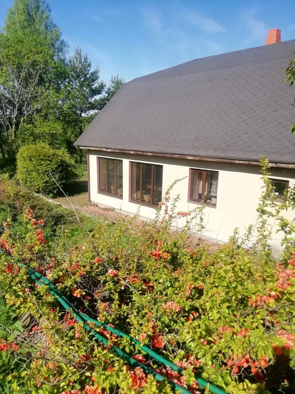 Большой дом на окраине деревни