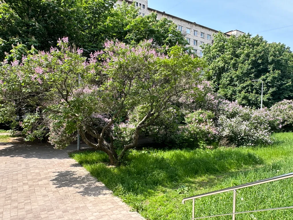 Квартира Квартира с новым дизайнерским ремонтом 2025 года (до центра 5 минут) — Санкт-Петербург