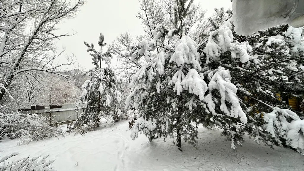 Коттедж Коттедж Курортное шале в писательском Переделкино — Москва