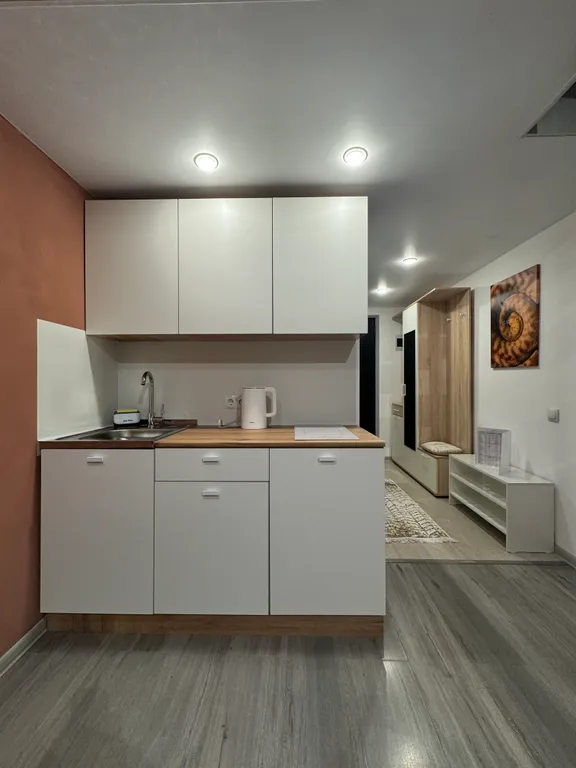 Шикарные апартаменты с PlayStation