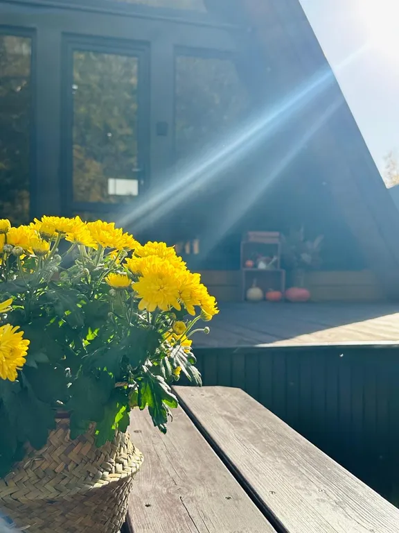 Коттедж Уютные домики Афрейм — Казань