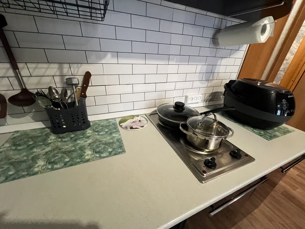 Уютная студия в Северном с кроватью и диваном