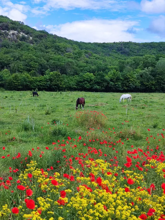 Уютная студия с видом на бассейны и горы