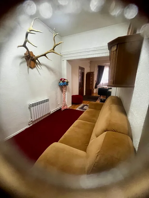 Большой уютный дом