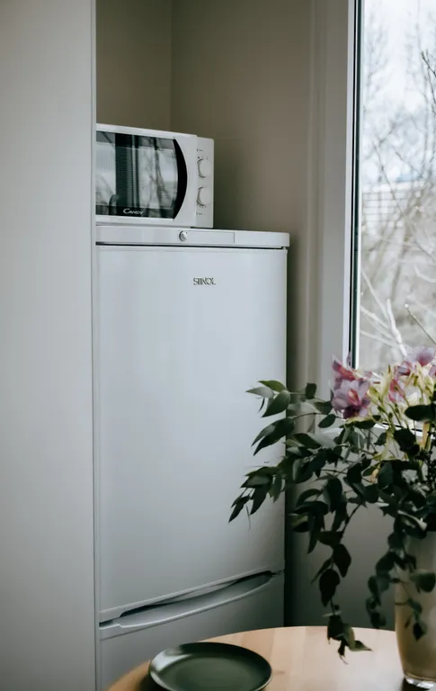 Квартира на Набережной Терека, у Мариинского театра