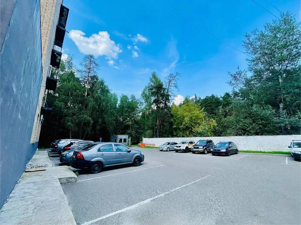 Комфортная студия в сосновом бору