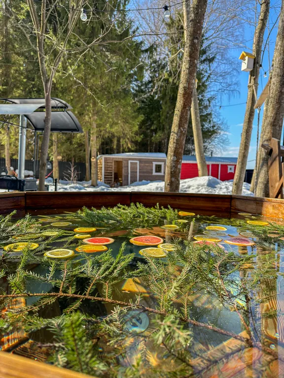 Дом в лесной сказке с видом на закат