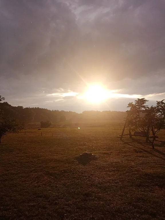 Усадьба в Беловежской пуще У Камина