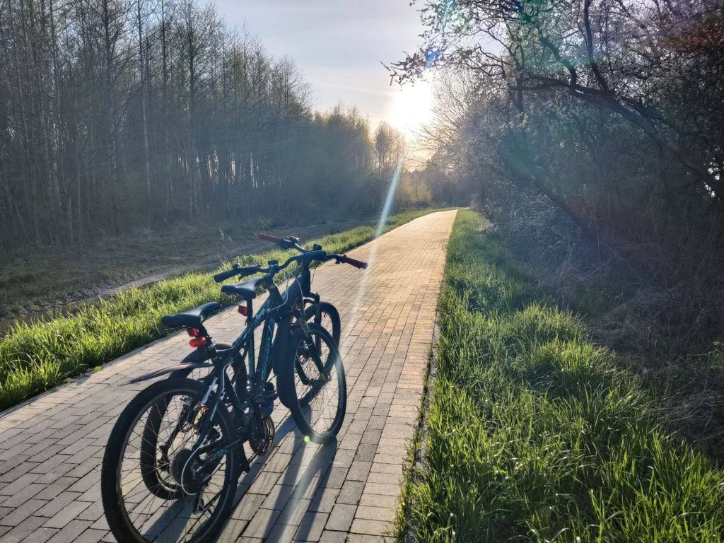 Дом у моря в стиле Прованс