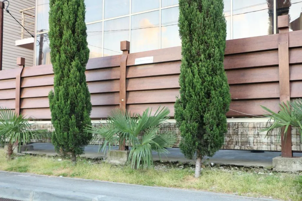 Квартира Апартаменты Сириус — аренда посуточно в Сириус