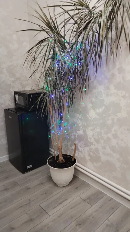 Уютная квартира с камином