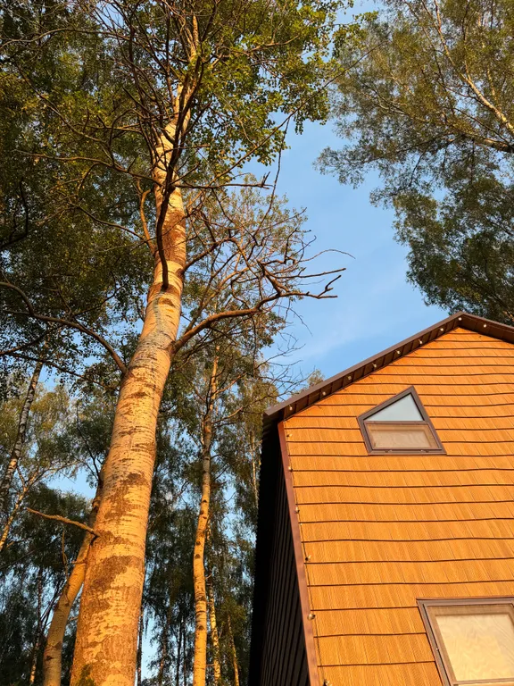 Мелодия Сицилии