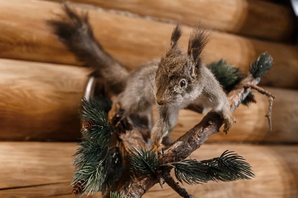 Коттедж 1-комнатный Дом — Нижний Новгород