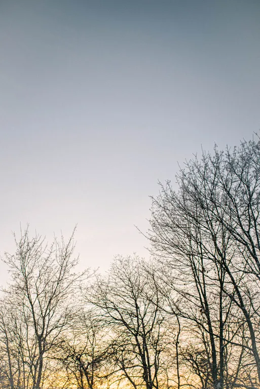 Дом с видом на закат, поле и лес