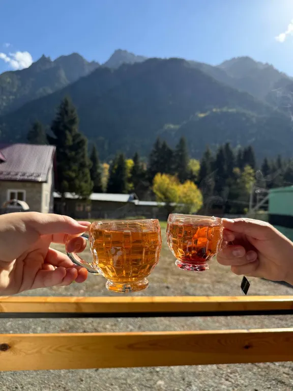 Коттедж Домик барн — Теберда