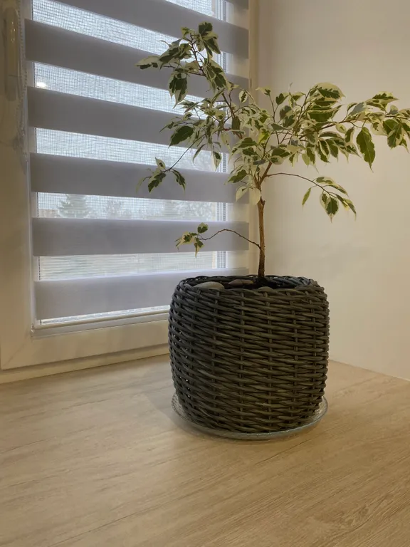 Квартира в спальном районе города