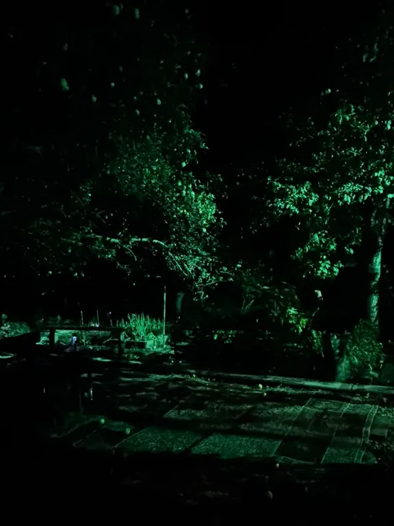 Коттедж Уютный дизайнерский дом с мангалом — Кисловодск