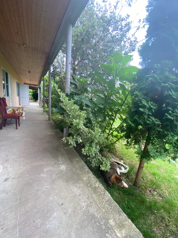 Четырёхместный стандарт