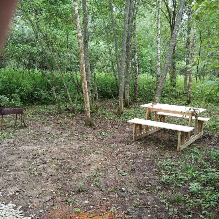 Коттедж Дом у леса — Можайск