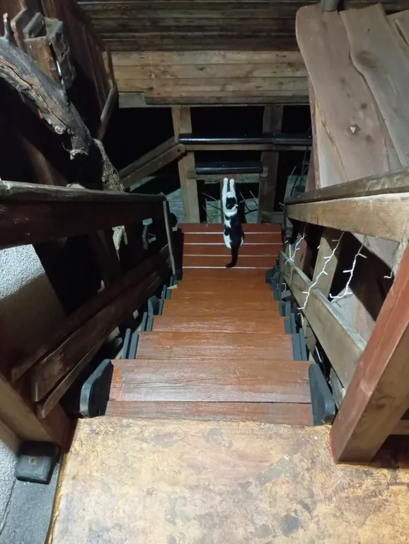 Коттедж Деревенский дом Hause & Mann — Калининград