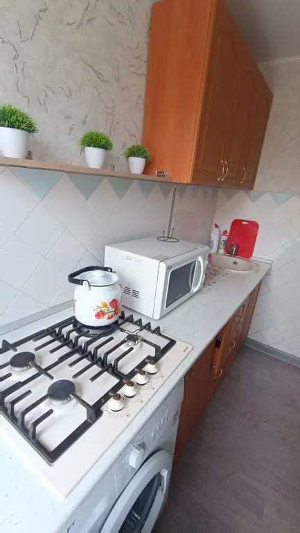 Квартира в географическом центре города