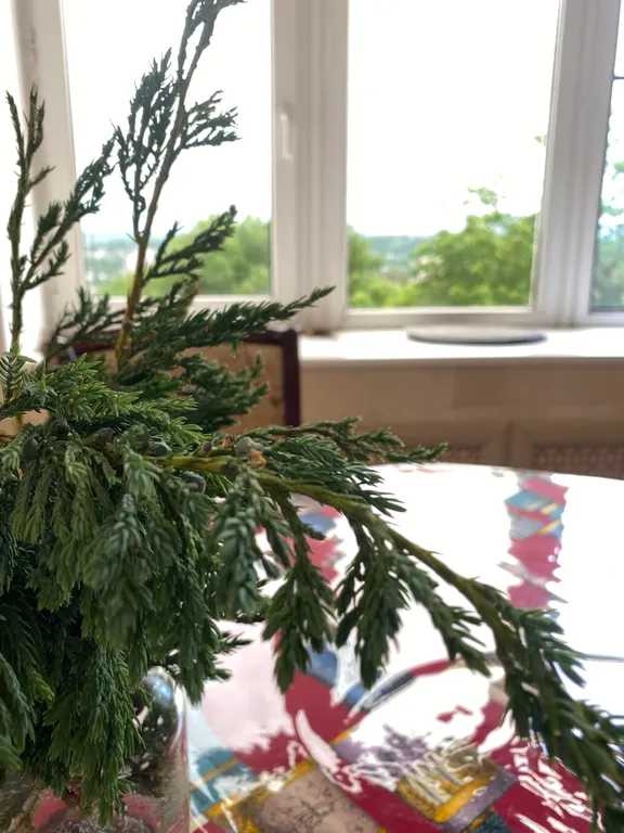 Апартамент “Еntre deux pays” в старинном центре города