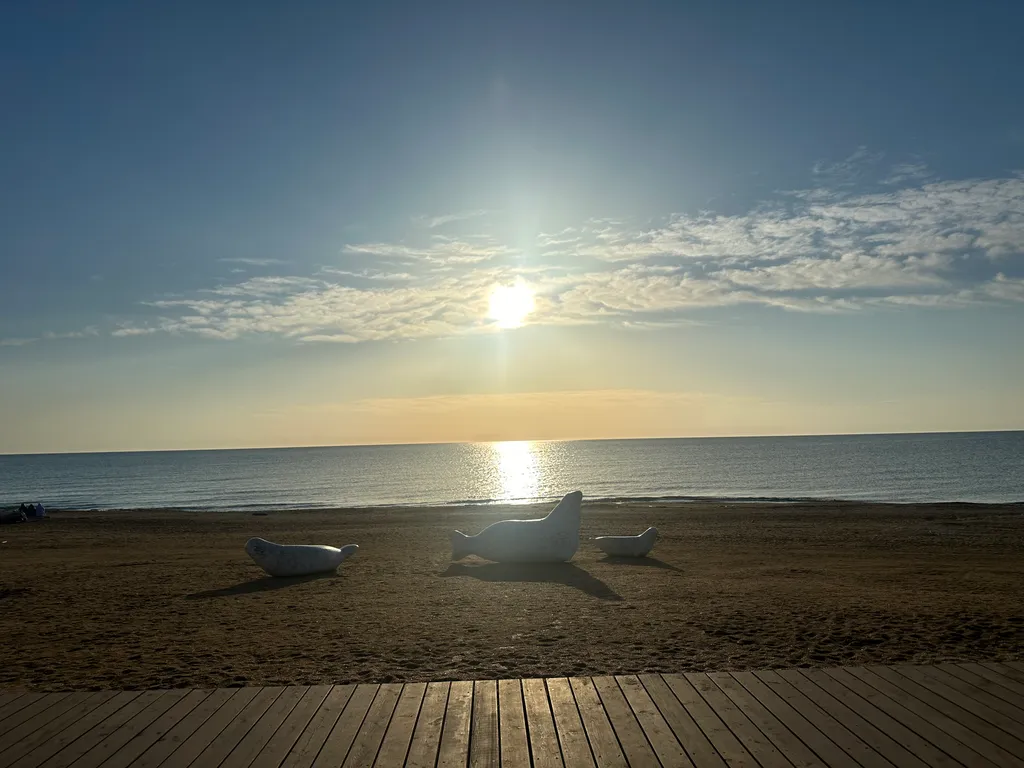 Дача у моря